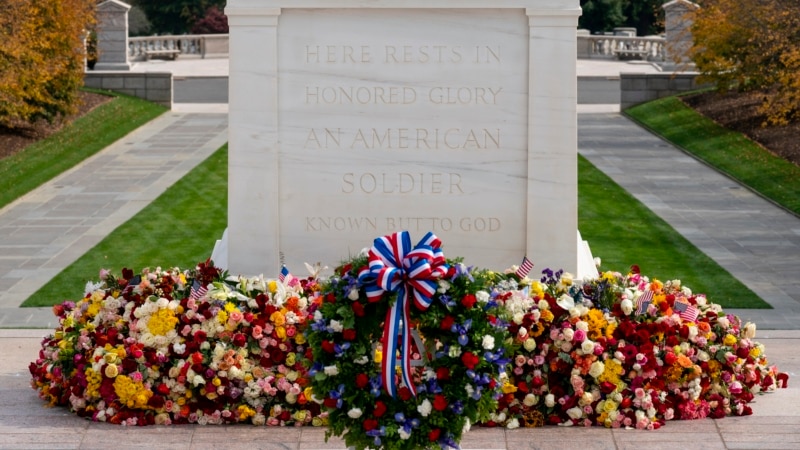 Veterans Day in the US celebrates those who have served in the armed forces