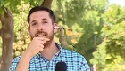 The exact moment a parrot robs a journalist live