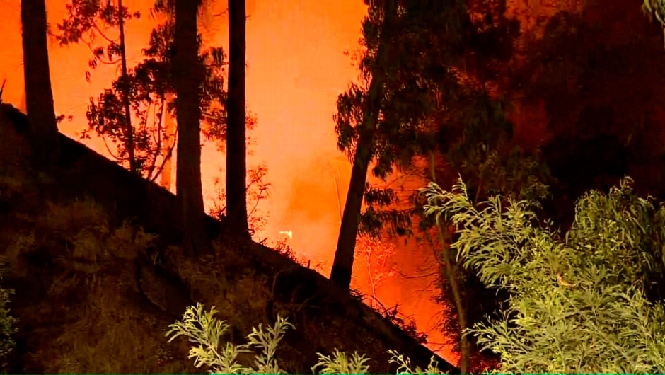 Chile decrees a "state of catastrophe" due to forest fires in Valparaíso