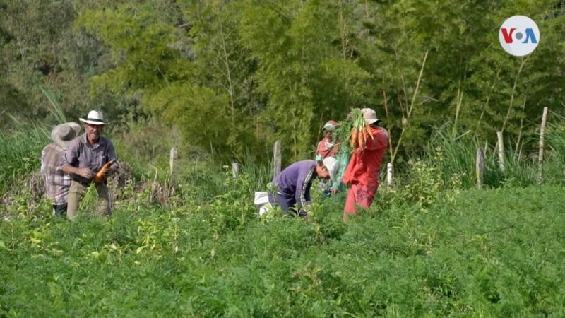 Government of Colombia advances in the implementation of agrarian reform