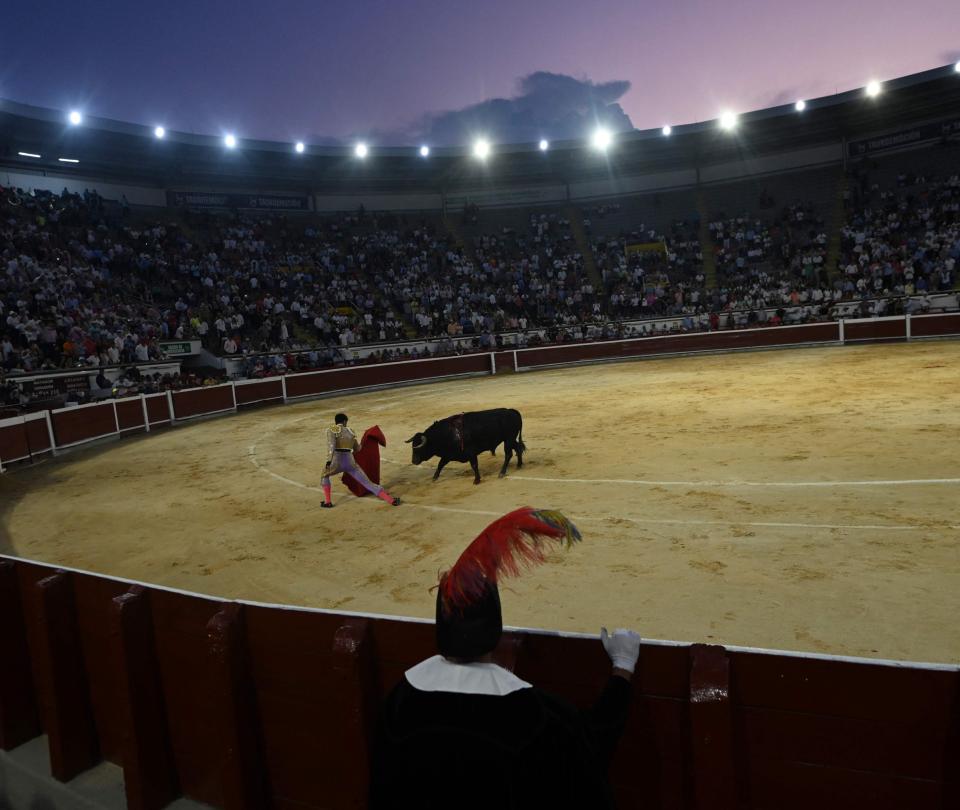 In the end, what will happen: the Bullfighting Fair of the Cali Fair will continue or not