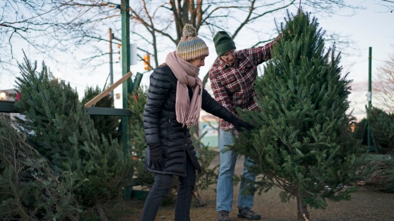 Inflation does not stop the sale of Christmas trees in the US