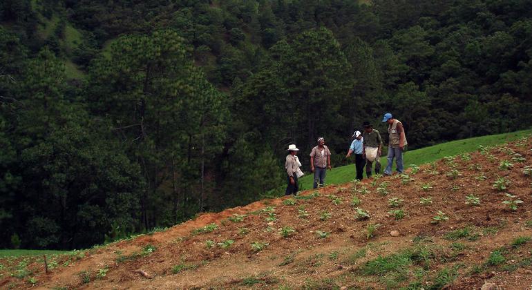 Farmers working the land in Guatemala.