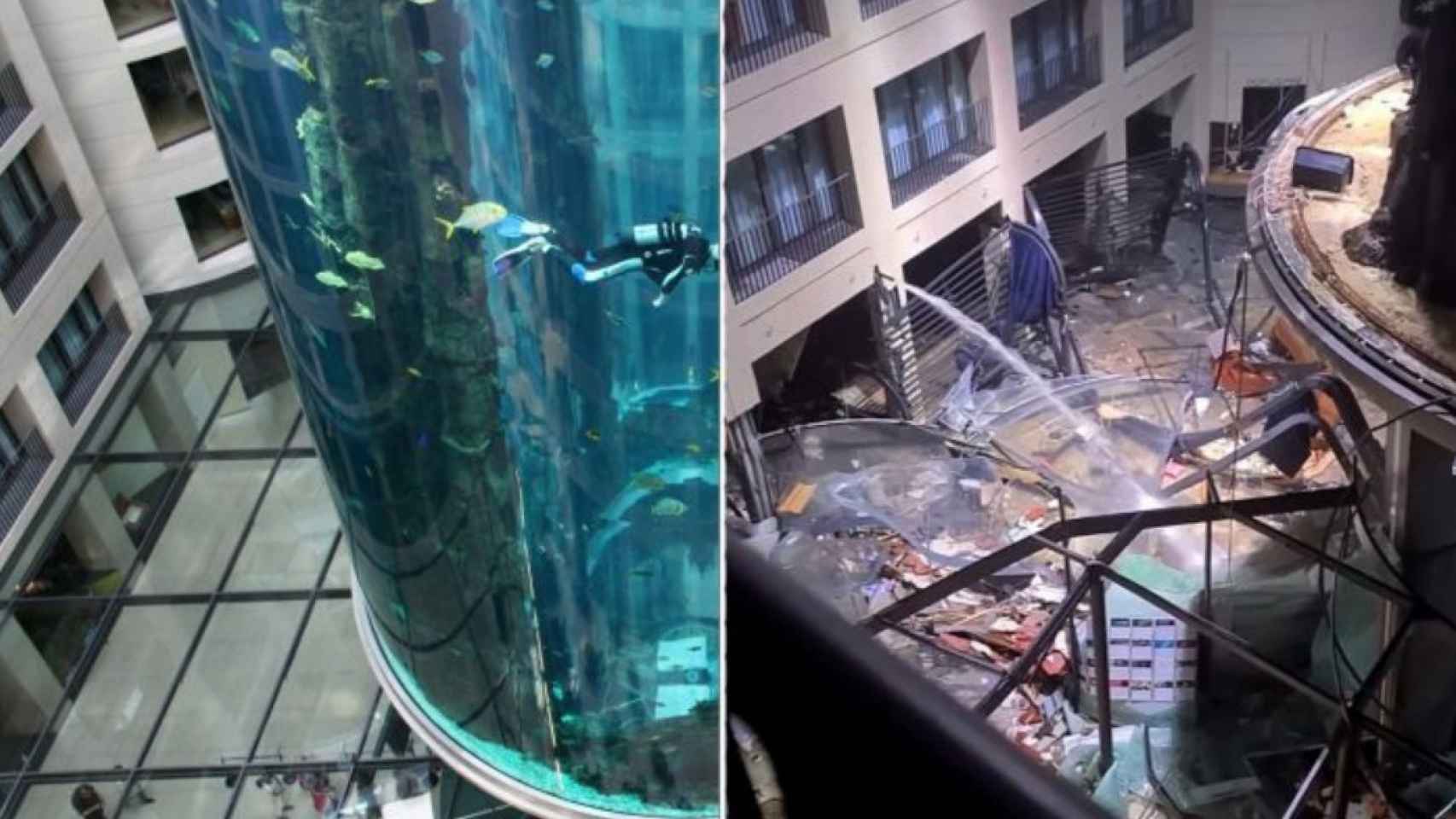 The 'AquaDom', the largest cylindrical aquarium in the world, explodes in Berlin: two are injured