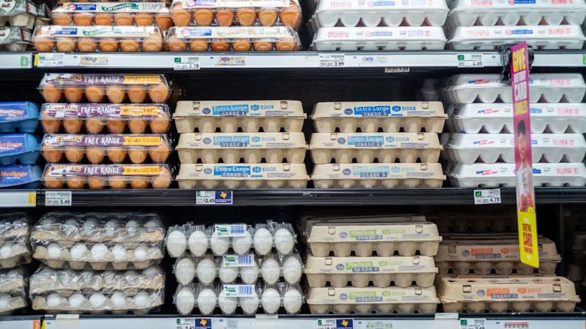 Why have eggs gone up so much in price this year?