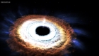 This is how a black hole destroys a star and gives it a donut shape