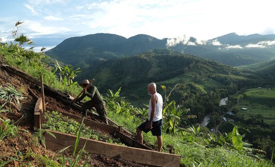 Colombia: Continued violence against indigenous communities "is of special concern"