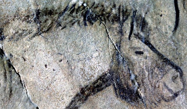 Drawing of a horse in a cave from the Ice Age