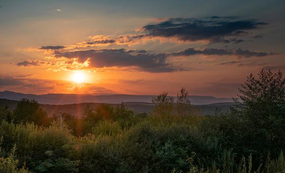 Europe breaks temperature records and reaches summer records in the middle of winter