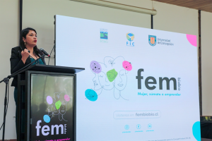 FEM Biobío begins cycle of summer workshops in the Region