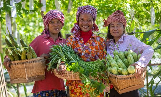 Food prices fall in December but remain high, FAO warns