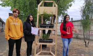 Future architects designed nurseries and vertical wooden orchards for a rural school