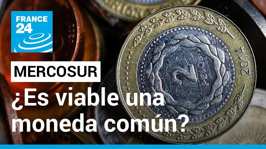 Is the proposal for a common currency within Mercosur viable?