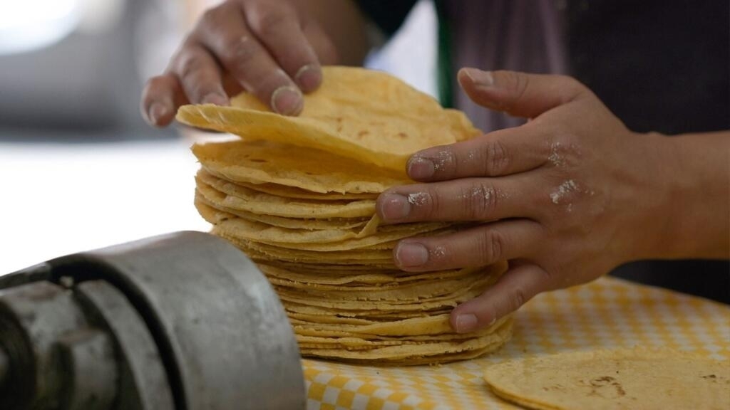 Mexico imposes a 50% tariff on white corn exports