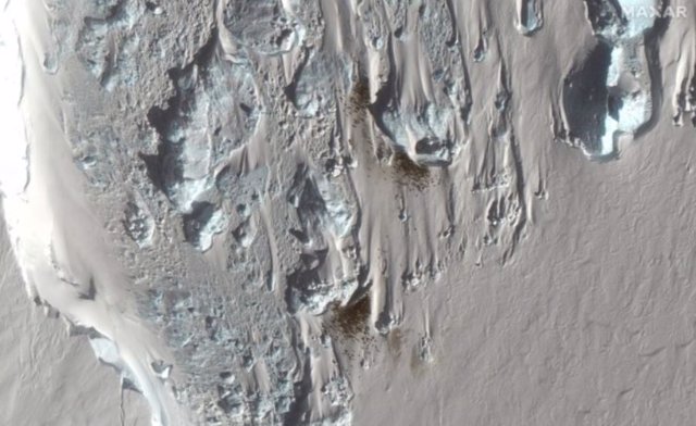 Aerial images from the Maxar WorldView-3 satellite show the newly discovered emperor penguin colony at Verleger Point.