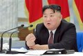 North Korea could have up to 60 nuclear warheads, experts say