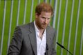 Prince Harry's popularity falls to a minimum after his numerous revelations