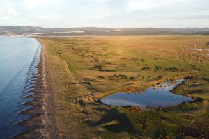 Summer course seeks to analyze legal and practical aspects in declaring wetlands