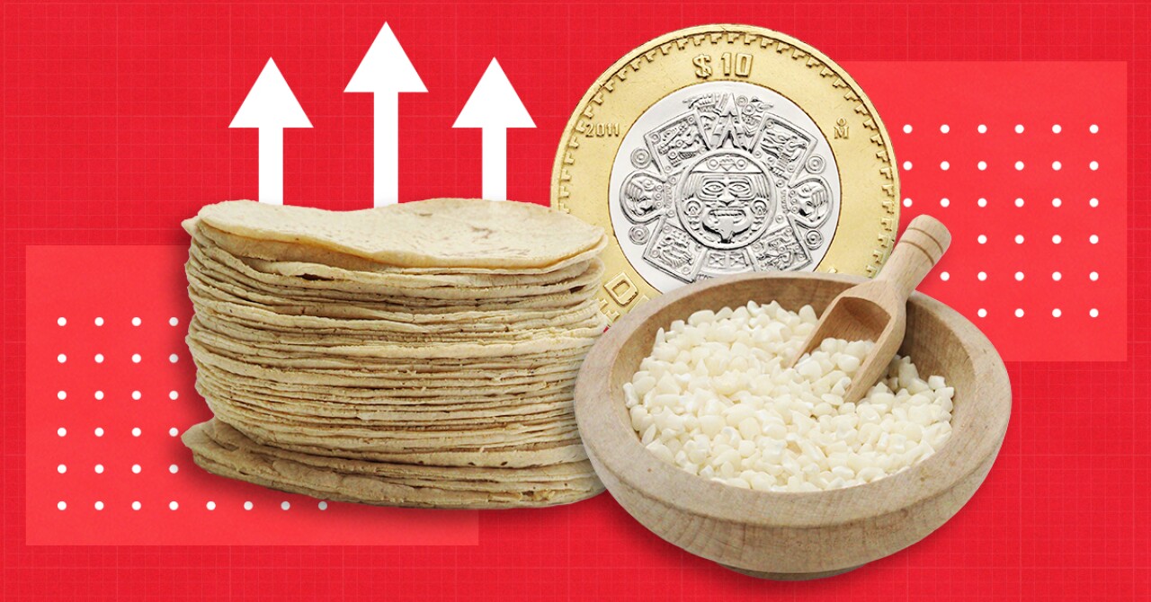 Tariff on white corn will not lower the price of tortillas, it will only create distortions