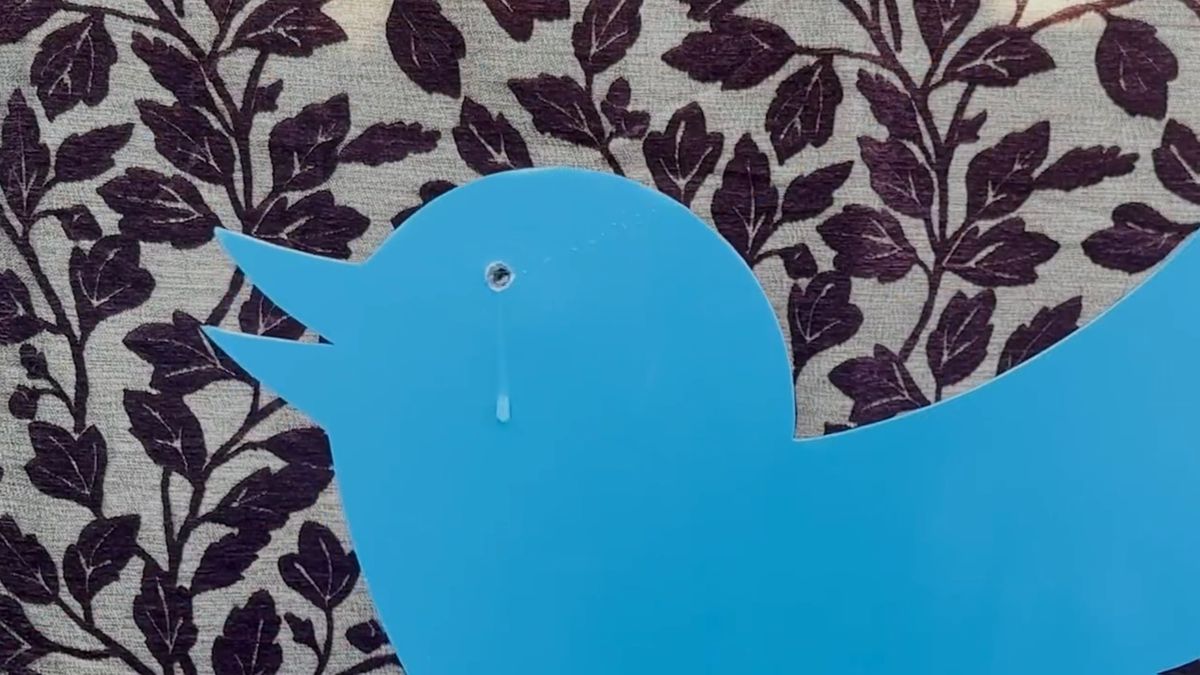 Twitter removes one of its latest features by popular demand