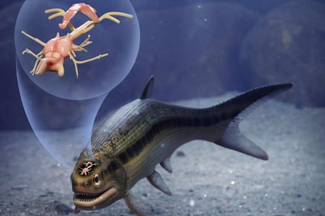 Artist's interpretation of an extraordinary 319 million-year-old fish that preserves the first fossilized brain of a vertebrate animal.