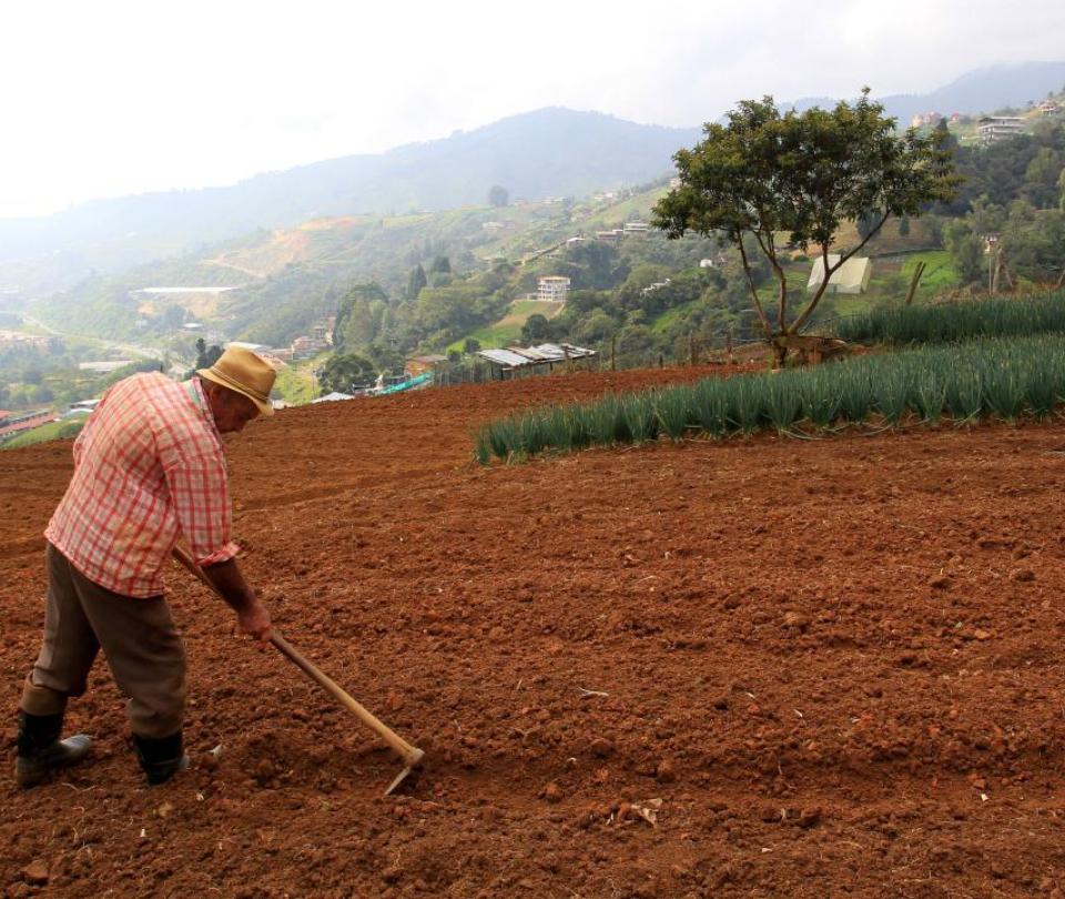 Almost $20,000 million, a figure destined for aid to agriculture due to La Niña