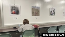 A young woman studies near cartoons that are part of the 'A Punta de Lápiz' exhibit, at FIU's Green Library, Miami, on January 18, 2023.