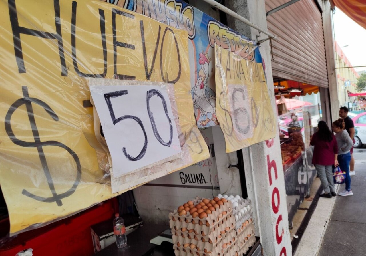 Egg price per kilo: Why is it so expensive in Mexico 2023?