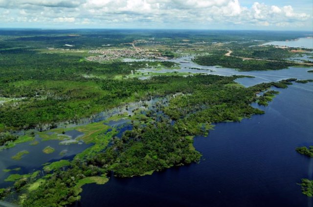 The Amazon, the largest river on Earth, transports weathered solutes from the Andes to the Atlantic Ocean
