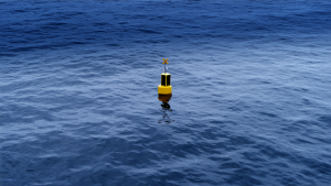 Puerto Cruz Grande Project CMP together with Acústica Marina installed the first two "Hydroacoustic Buoys" for the monitoring and protection of marine fauna off Chungungo