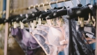 How much more do women pay for their underwear in the US?