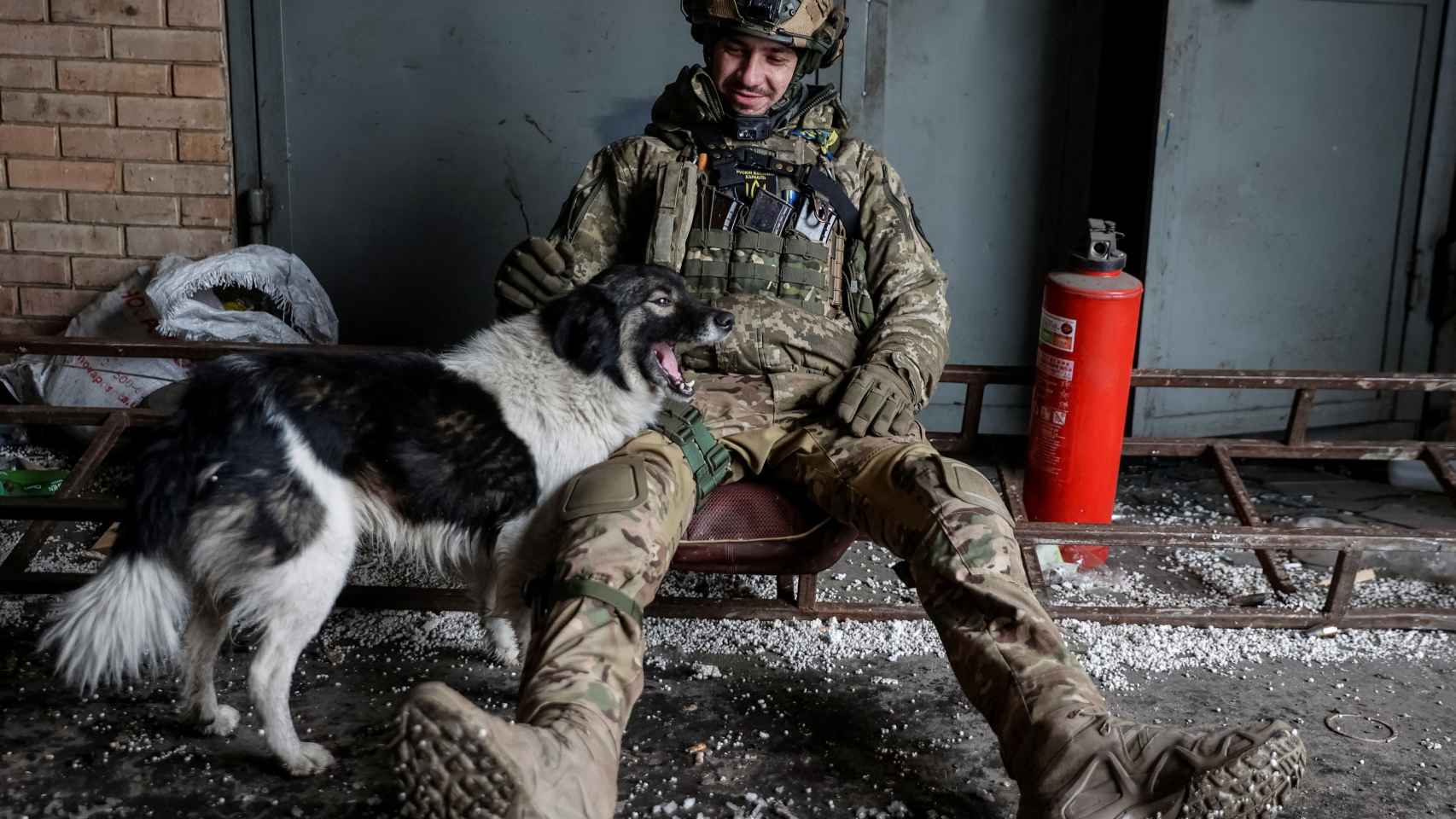 Ukrainian soldier greets a dog in Bakhmut.