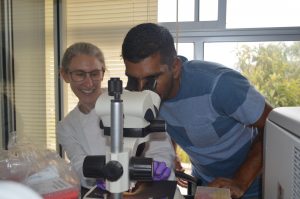 Through analysis of small marine microorganisms, the climate of the past in the region and the country is studied