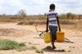 UNHCR asks for 130 million to help 3.3 million people due to the drought in the Horn of Africa