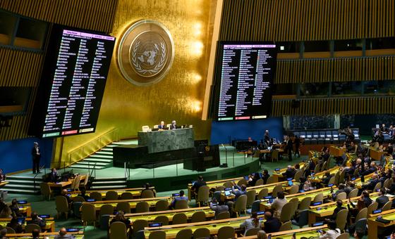 Ukraine: The General Assembly "stresses the need to achieve a comprehensive, just and lasting peace"