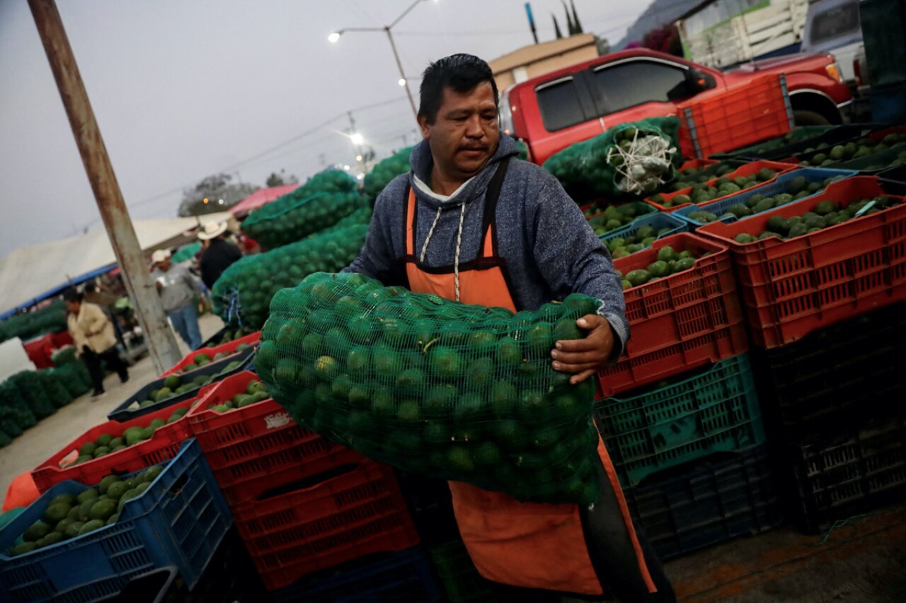 Economic activity in Mexico grows 3.5% annually in February