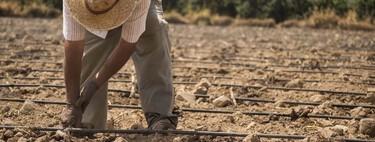 The perfect storm that stalks Spanish farmers: drought, skyrocketing prices and shortages