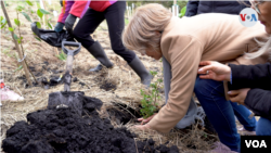 A family planting a tree on ashes.