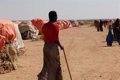 New clashes in Las Anod after almost four months of conflict in Somaliland with no solution in sight