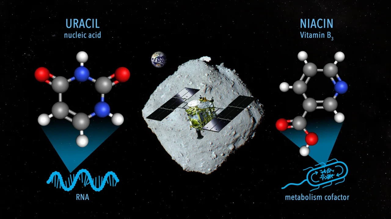 asteroid Ryugu