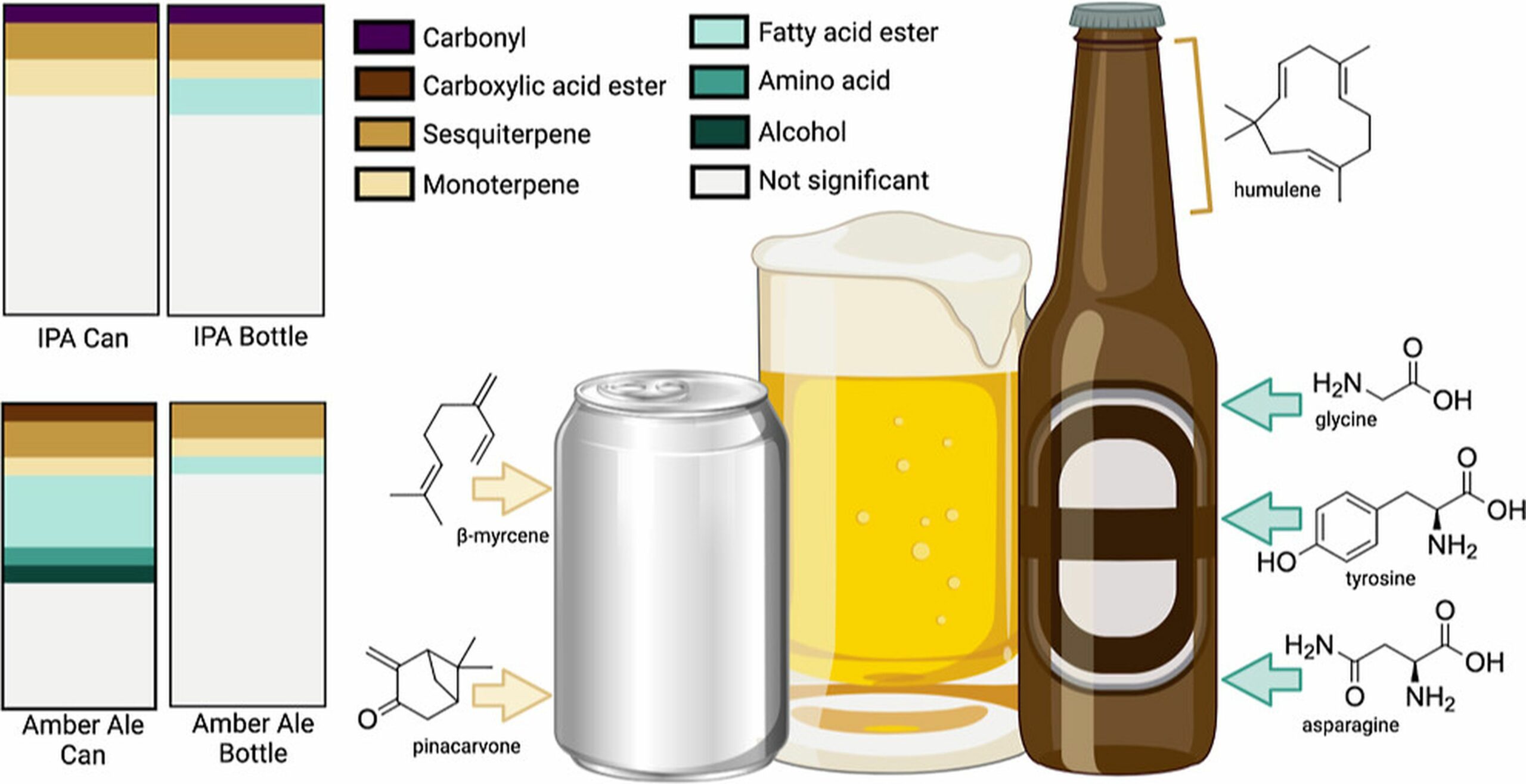 Canned beer and bottled beer