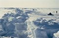 Sediments indicate a total melt "very closely" arctic in summer