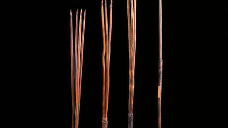 The University of Cambridge will return to Australia four aboriginal spears looted in 1770