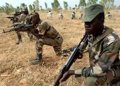 The Niger Army "neutralizes" 79 suspected terrorists near the border with Mali