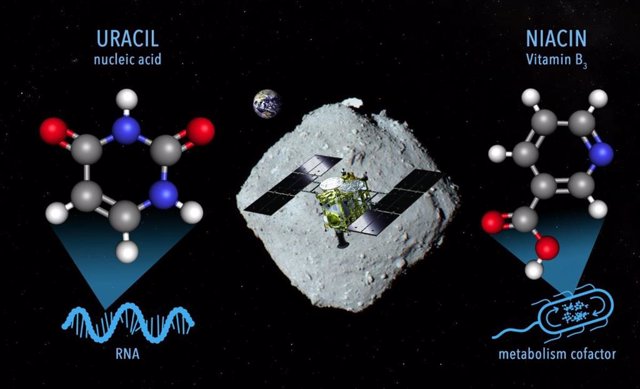 A concept image for sampling materials on the Ryugu asteroid containing uracil and niacin by the Hayabusa2 spacecraft