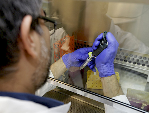 Scientist with blue gloves manipulating instruments through glass.