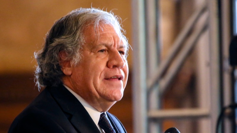 Almagro will remain as OAS Secretary General after investigation