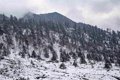 At least seven dead after a snow avalanche in the Indian Himalayas