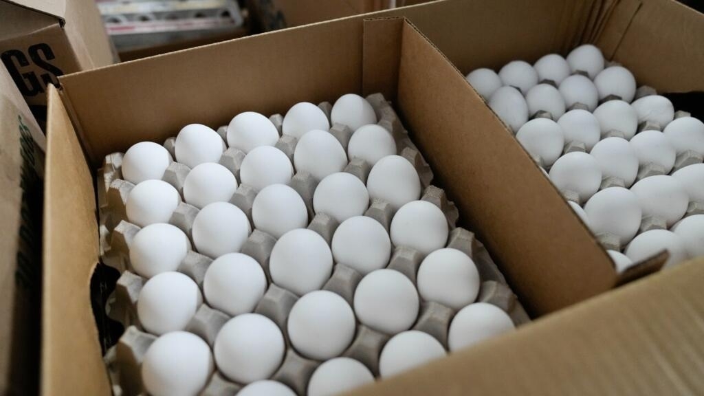 Chile: the death of a million birds boosts the price of eggs locally