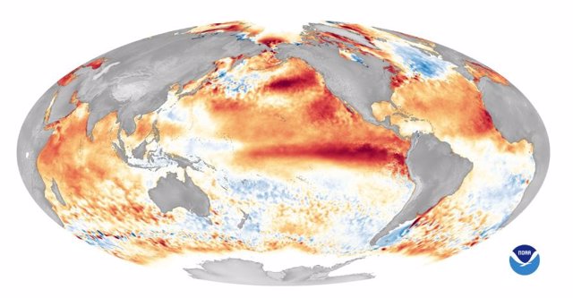 This world map shows sea surface temperature anomalies during one of the strongest El Niño events on record in 2016. Red areas indicate warmer than average ocean temperatures.